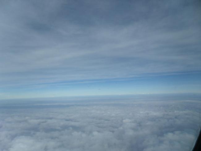 SAM_1162_resize.JPG